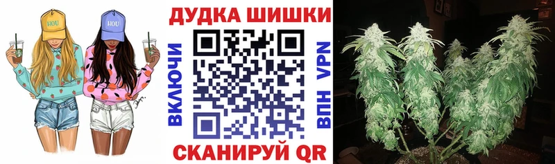 закладка  Орлов  Канабис индика 